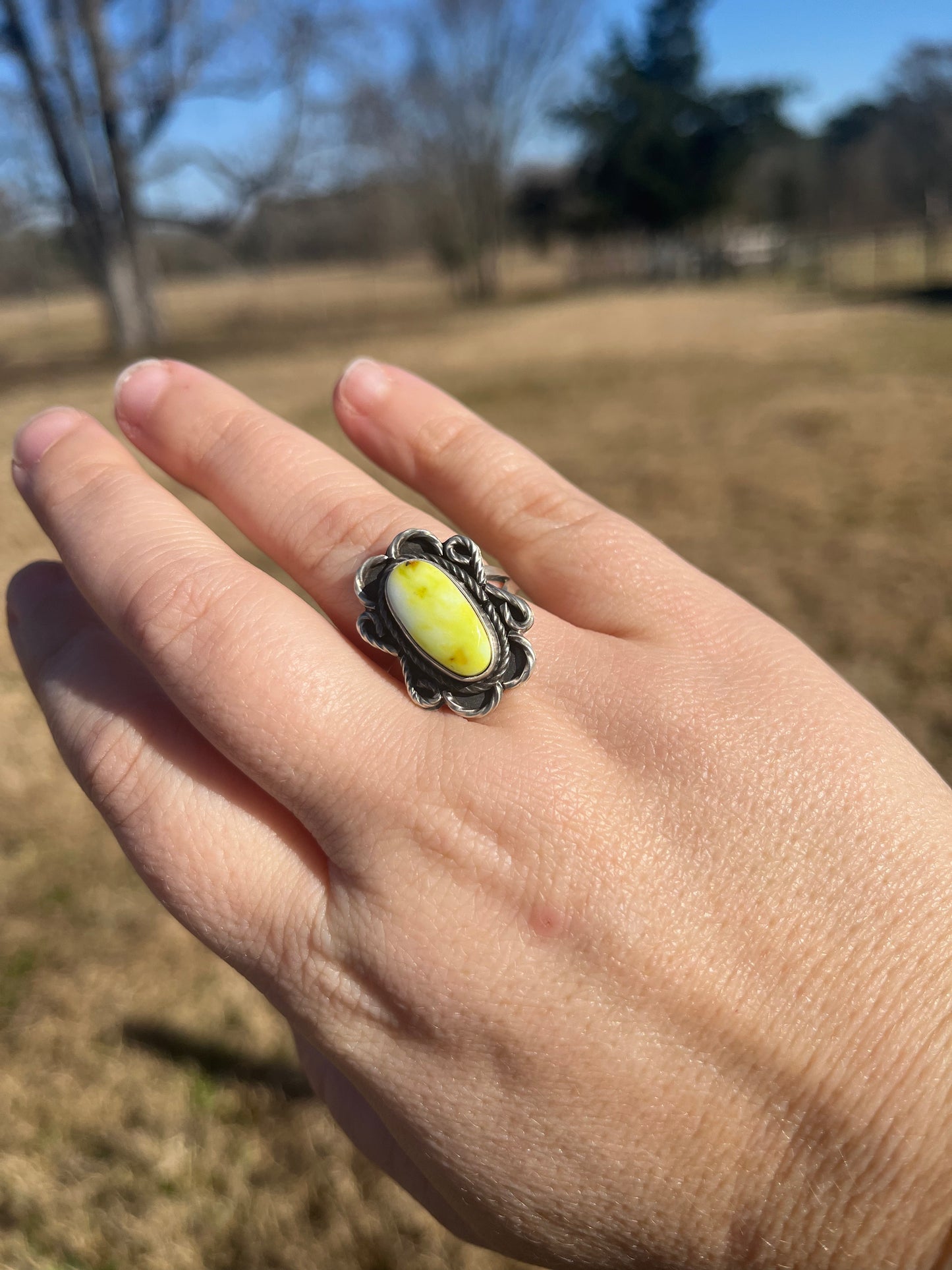 Palomino Adjustable Ring #2